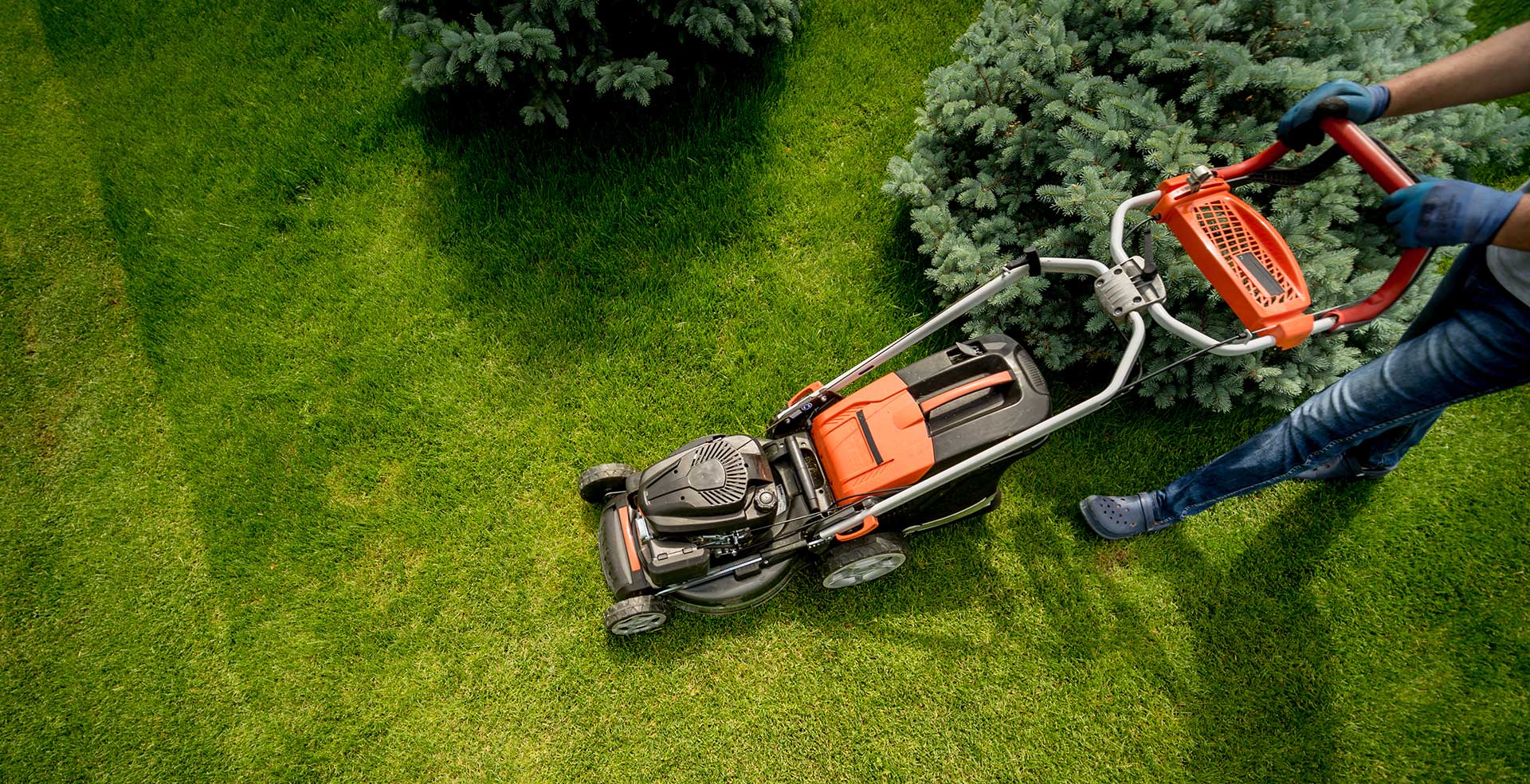 Tenant Guide To Garden Maintenance