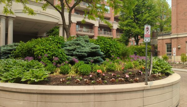 Commercial condo big planter planting