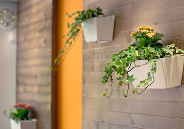 interior-plantscaping-img-right