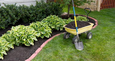 plants-gardens-1 (1)